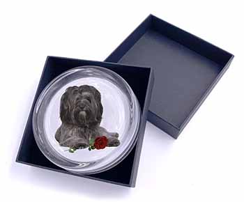 Tibetan Terrier with Red Rose Glass Paperweight in Gift Box