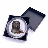 Tibetan Terrier with Red Rose Glass Paperweight in Gift Box