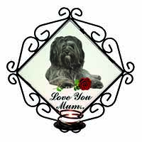 Tibetan Terrier+Rose 