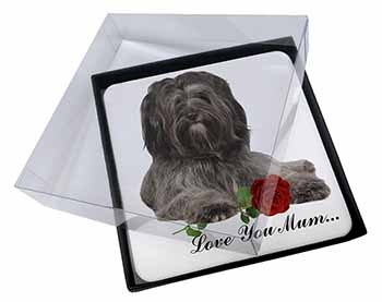 4x Tibetan Terrier+Rose 