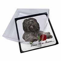 4x Tibetan Terrier+Rose 