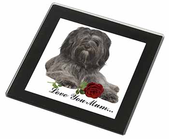 Tibetan Terrier+Rose 