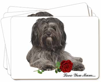 Tibetan Terrier+Rose 