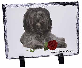 Tibetan Terrier+Rose 