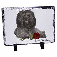 Tibetan Terrier+Rose 