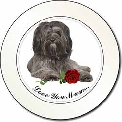 Tibetan Terrier+Rose 