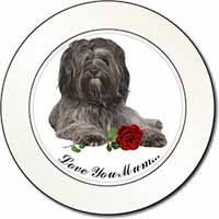 Tibetan Terrier+Rose 