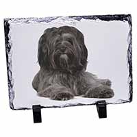 Tibetan Terrier Dog, Stunning Photo Slate