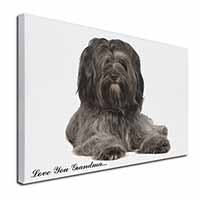 Tibetan Terrier 