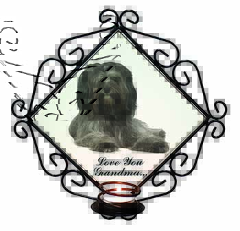 Tibetan Terrier 