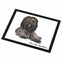 Tibetan Terrier 