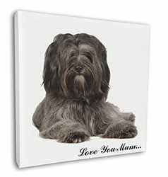 Tibetan Terrier 