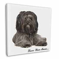 Tibetan Terrier 