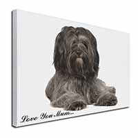 Tibetan Terrier 