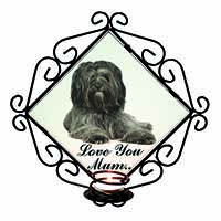 Tibetan Terrier 