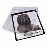 4x Tibetan Terrier 