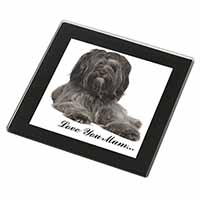 Tibetan Terrier 