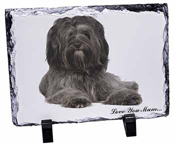 Tibetan Terrier 