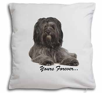 Tibetan Terrier 