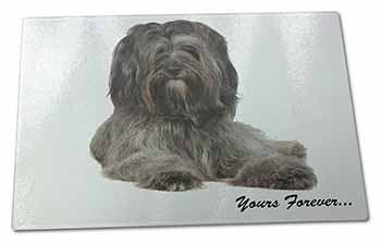 Large Glass Cutting Chopping Board Tibetan Terrier 