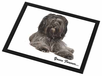 Tibetan Terrier 