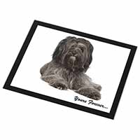 Tibetan Terrier 