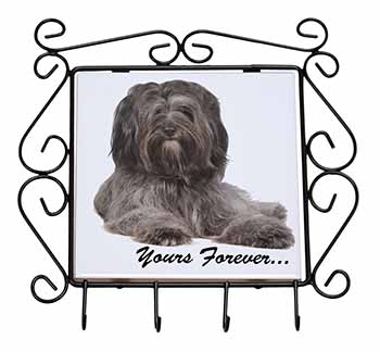 Tibetan Terrier 