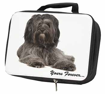 Tibetan Terrier 