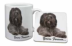 Tibetan Terrier 