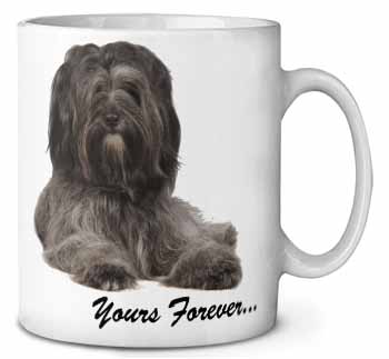 Tibetan Terrier 