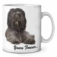 Tibetan Terrier 