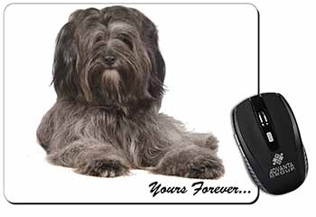 Tibetan Terrier 