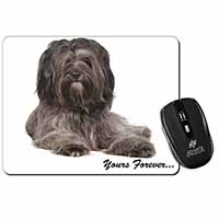 Tibetan Terrier 