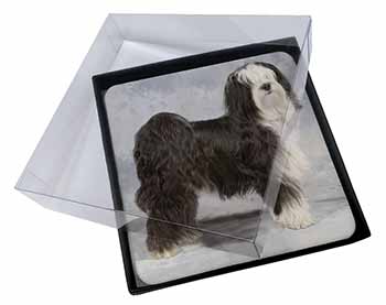 4x Tibetan Terrier Dog Picture Table Coasters Set in Gift Box