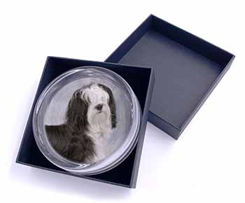 Tibetan Terrier Dog Glass Paperweight in Gift Box