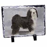 Tibetan Terrier Dog, Stunning Photo Slate