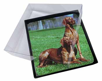 4x Hungarian Vizslas Picture Table Coasters Set in Gift Box