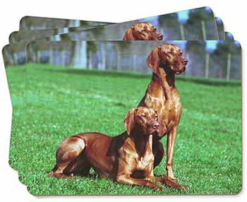 Hungarian Vizslas Picture Placemats in Gift Box