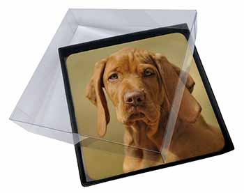 4x Hungarian Vizsla Dog Picture Table Coasters Set in Gift Box