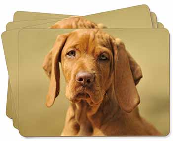 Hungarian Vizsla Dog Picture Placemats in Gift Box