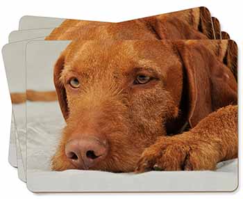 Hungarian Vizsla Dog Picture Placemats in Gift Box