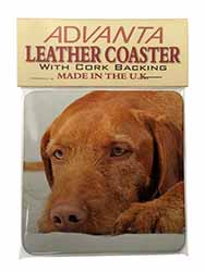 Hungarian Vizsla Dog Single Leather Photo Coaster