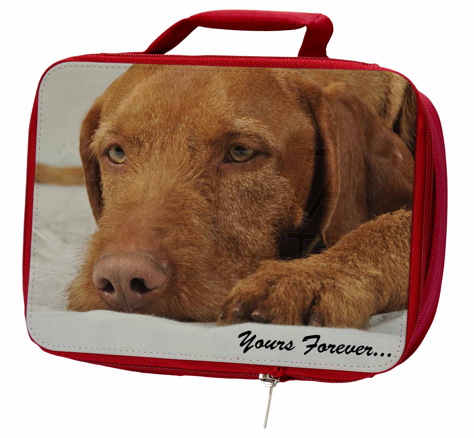 Hungarian Vizsla 'Yours Forever' Insulated Red School Lunch Box/Picni, AD-V3yLBR Hungarian Vizsla 'Yours Forever' Insulated AD-V3yLBR Red School Lunch Box/Picni, AD-V3yLBR Insulated 5b4d2d