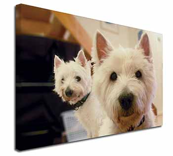 West Highland Terrier Dogs Canvas X-Large 30"x20" Wall Art Print
