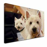 West Highland Terrier Dogs Canvas X-Large 30"x20" Wall Art Print