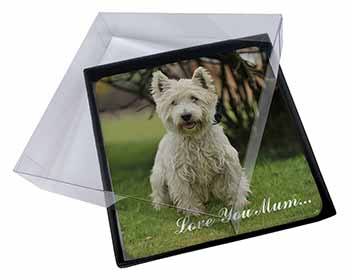 4x West Highland Terrier 