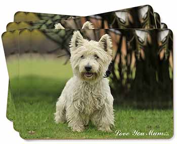 West Highland Terrier 