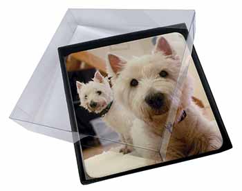 4x West Highland Terrier Dogs Picture Table Coasters Set in Gift Box