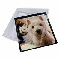 4x West Highland Terrier Dogs Picture Table Coasters Set in Gift Box