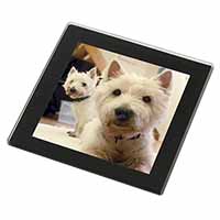 West Highland Terrier Dogs Black Rim High Quality Glass Coaster